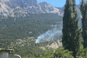 Adana’daki Orman Yangını Kontrol Altında