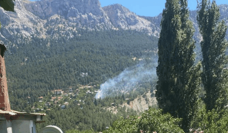 Adana’daki Orman Yangını Kontrol Altında