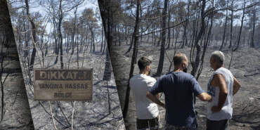 Ağaçlar Gitti, Milyonlar Uçtu… Türkiye Yangınla Yoksullaşıyor! Ağaç Başına Binlerce Lira