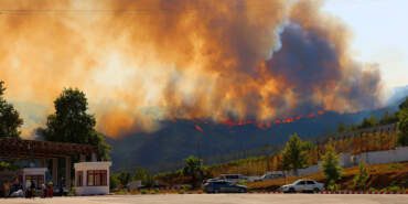 Alevler Sınırı Aştı: Suriye’deki Yangın Türkiye’ye Sıçradı