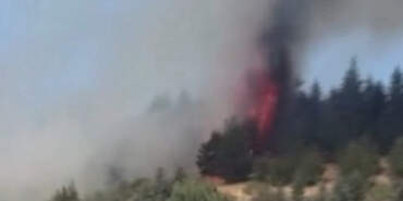 Ankara Bala’da Orman Yangını