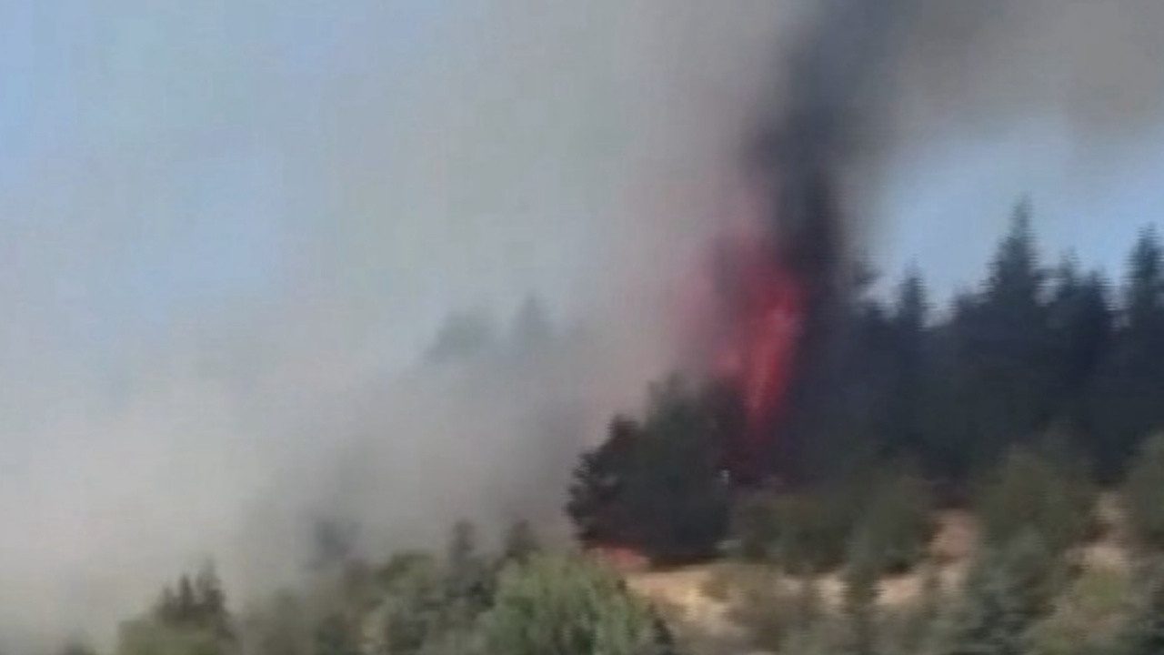 Ankara Bala’da Orman Yangını