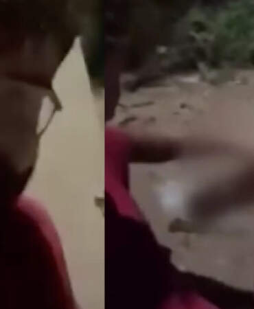 Ankara’da Köpeğe Alkol İşkencesi! Bir de Telefonla Kayda Aldı… O Şahıs İçin Harekete Geçildi