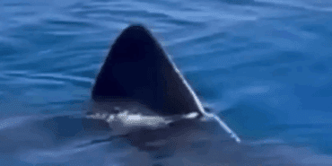 Antalyalıları Korkudan Titreten Görüntü! Gerçek 2 Hafta Sonra Ortaya Çıktı