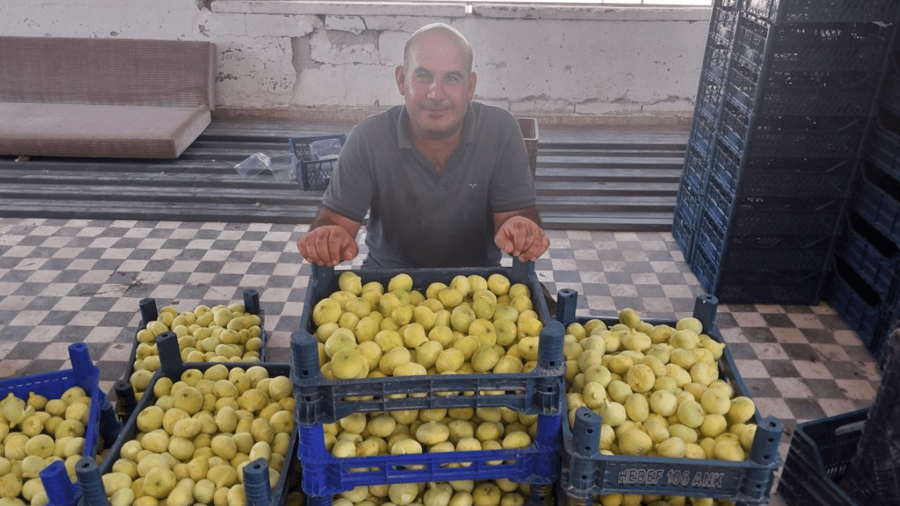 Bal Damlayan Hasat Başladı! Rekolte Düşse de Fiyatı Yetti