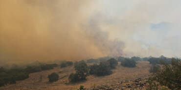 Balıkesir’de Çıkan Orman Yangını Kontrol Altında