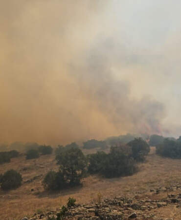 Balıkesir’de Çıkan Orman Yangını Kontrol Altında