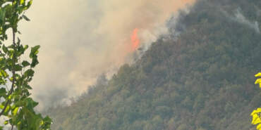 Bartın’da Orman Yangını Kontrol Altına Alındı