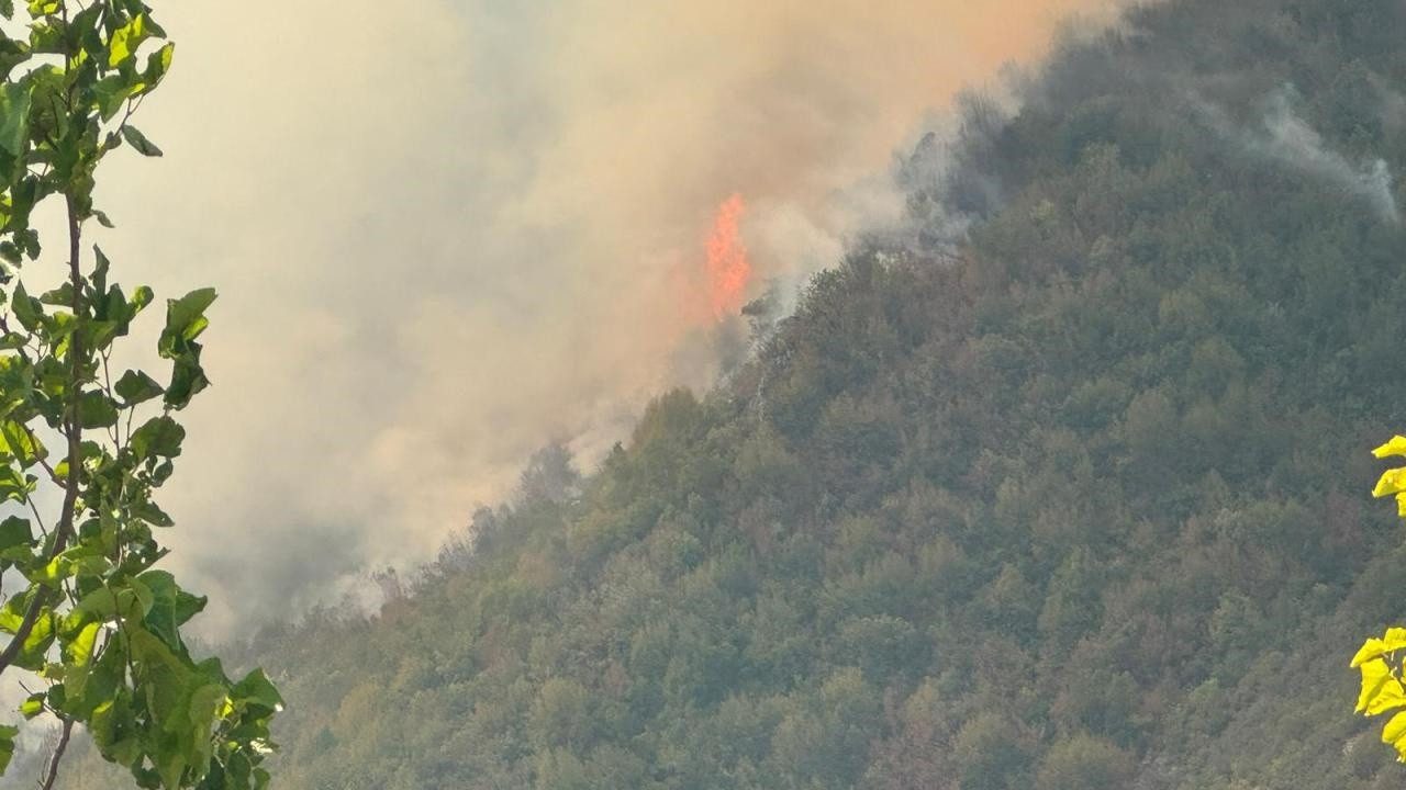 Bartın’da Orman Yangını Kontrol Altına Alındı
