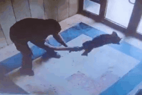 Başakşehir’de Bir Kediyi Acımasızca Yere Vuran Cani Hakkında Flaş Gelişme