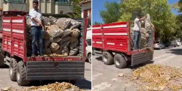 Bedava Patates Dağıtmıştı… Destek Bekleyen Çiftçiye Soruşturma Şoku!