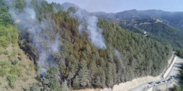 Sinop’ta Orman Yangını