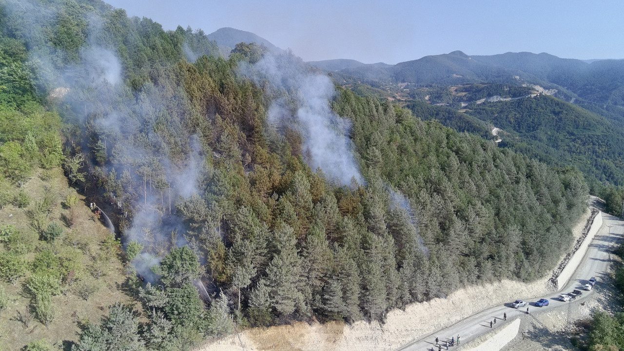 Sinop’ta Orman Yangını
