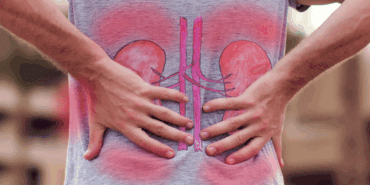 Böbrekleri Diyalizden Kurtarıyor, Doğal Detoks Olarak Biliniyor, Faydası Saymakla Bitmiyor