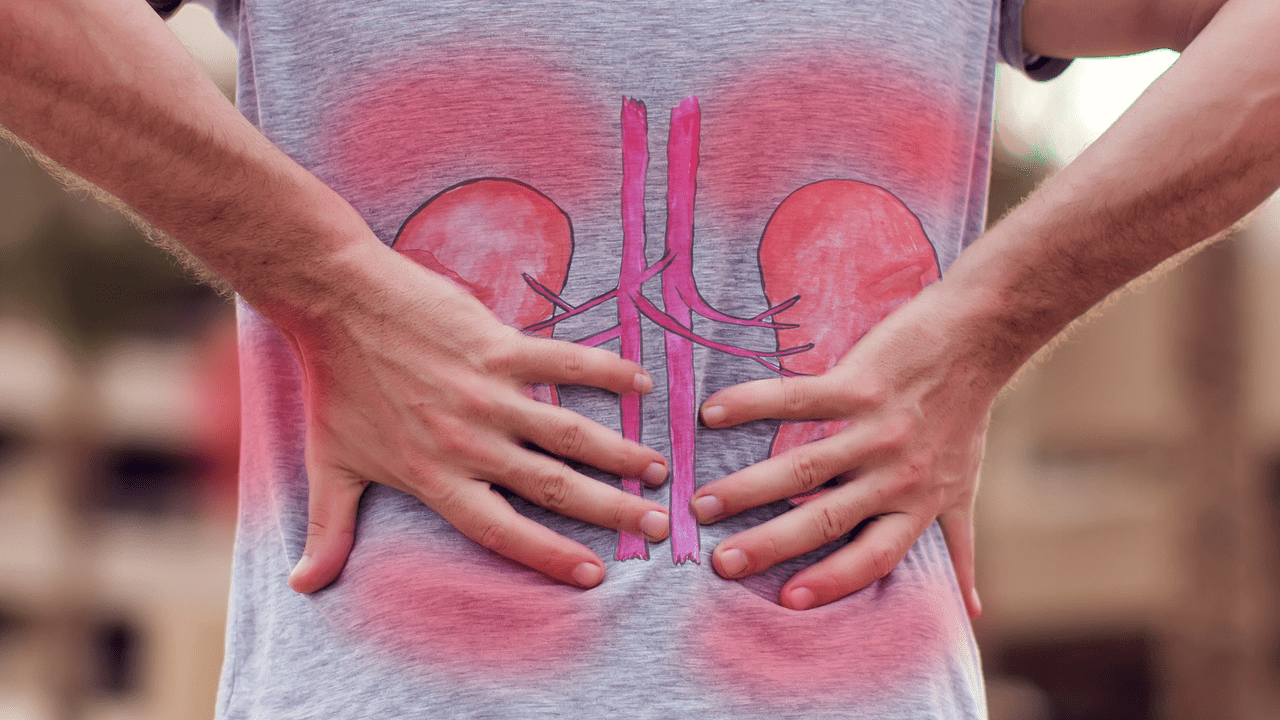 Böbrekleri Diyalizden Kurtarıyor, Doğal Detoks Olarak Biliniyor, Faydası Saymakla Bitmiyor