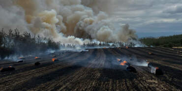 Bursa’da Orman Yangını! Alevler Yükseliyor