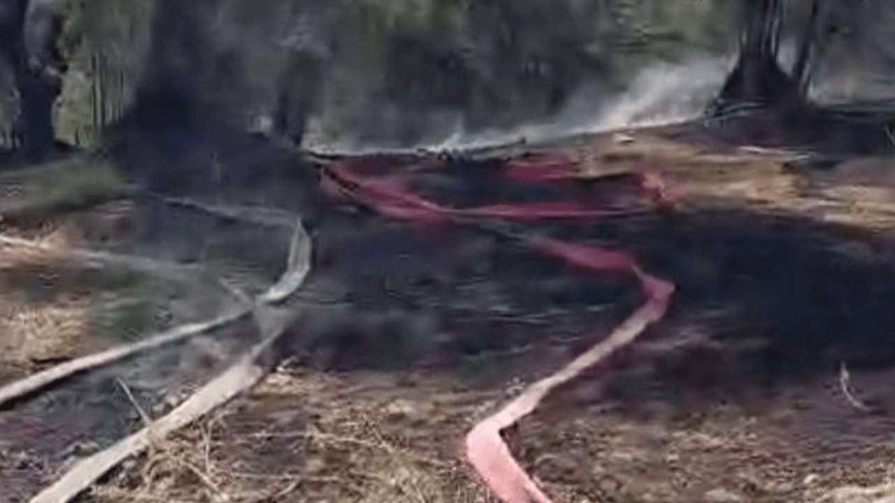 Bursa’da Yangın Paniği! Büyümeden Söndürüldü