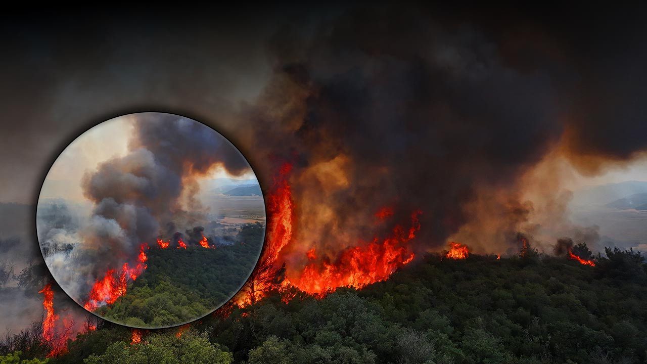 Türkiye’nin Ciğerleri Yanıyor! Bakan Yumaklı Son Durumu Açıkladı