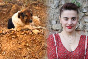 Ceylan Ertem Güzel Haberi Açıkladı: Türkiye’yi Hüzne Boğan Köpeğe Aile Olacak