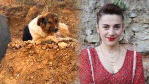 Ceylan Ertem Güzel Haberi Açıkladı: Türkiye’yi Hüzne Boğan Köpeğe Aile Olacak