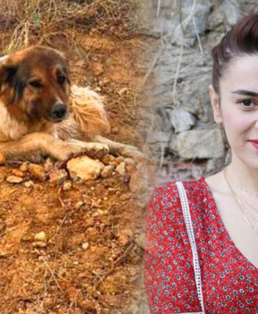 Ceylan Ertem Güzel Haberi Açıkladı: Türkiye’yi Hüzne Boğan Köpeğe Aile Olacak