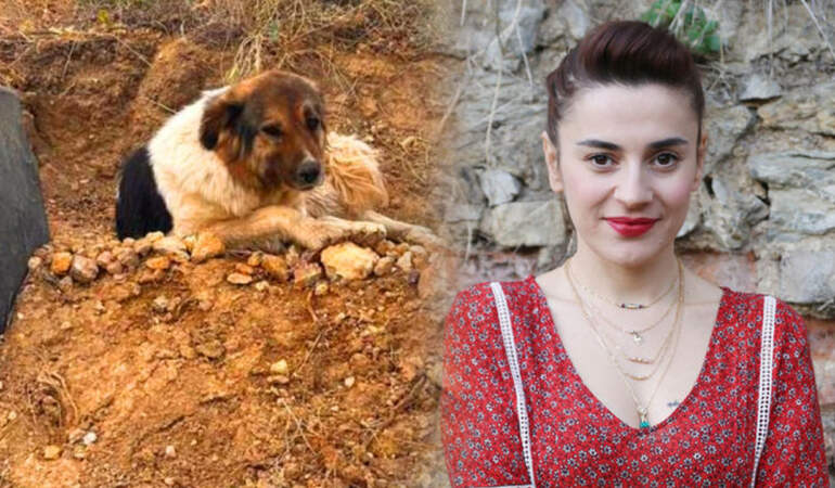 Ceylan Ertem Güzel Haberi Açıkladı: Türkiye’yi Hüzne Boğan Köpeğe Aile Olacak