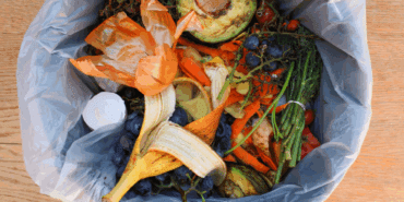 Çiçeklerinizi Coşturacak Sır Mutfağınızda Saklı! Uzman Bahçıvan Özel Tarifle Açıkladı