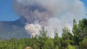 Denizli’deki Yangına Ne Sebep Oldu? Yakalanan Şüpheli Anlattı