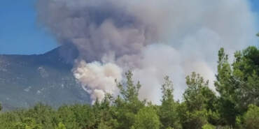 Denizli’deki Yangına Ne Sebep Oldu? Yakalanan Şüpheli Anlattı