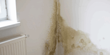 Duvardaki Küf, Nem ve Rutubet İzlerini Noktasız Tertemiz Yapıyor: Boyamaya Bile Gerek Kalmıyor