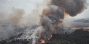 Gaziantep’te Geri Dönüşüm Fabrikasında Korkutan Yangın: Alevler Halı Fabrikasına da Sıçradı