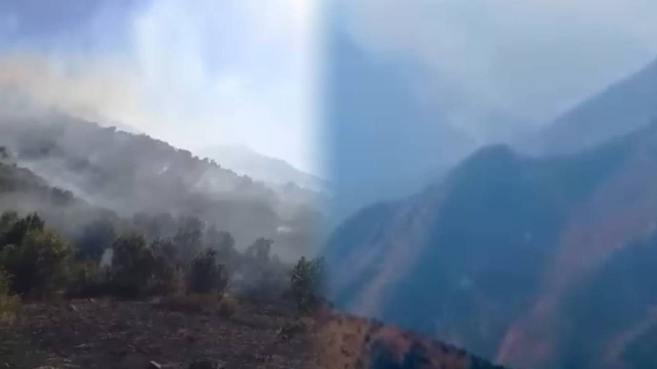 Hakkari’de Orman Yangını! İki Gündür Alev Alev Yanıyor