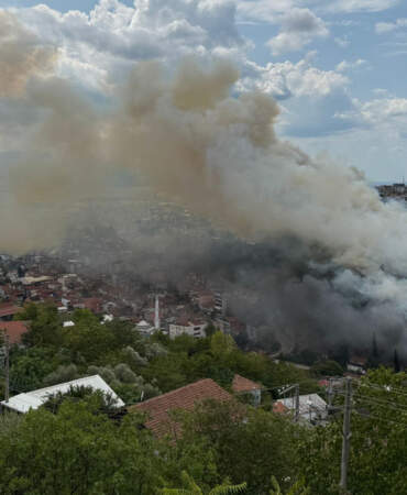 Her Gün Orman Yangını! İstanbul Söndürüldü, Kocaeli ve Diyarbakır Yine Yanıyor