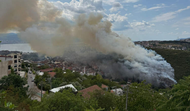 Her Gün Orman Yangını! İstanbul Söndürüldü, Kocaeli ve Diyarbakır Yine Yanıyor