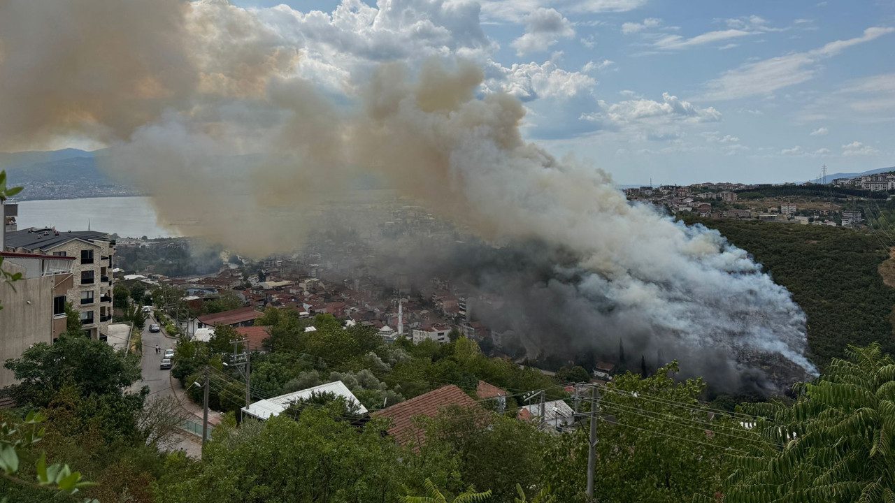 Her Gün Orman Yangını! İstanbul Söndürüldü, Kocaeli ve Diyarbakır Yine Yanıyor