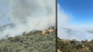 İki İlde ‘Alev Kapanı’ Müdahale Sürüyor