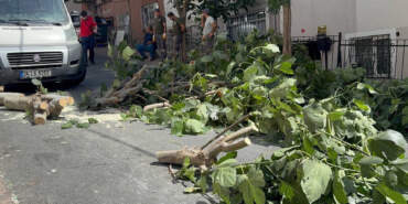 İstanbul’u Fırtına Vurdu: Ağaçlar Devrildi, 2 Kişi Yaralandı