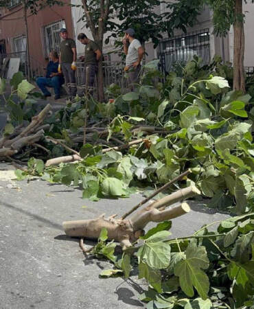 İstanbul’u Fırtına Vurdu: Ağaçlar Devrildi, 2 Kişi Yaralandı