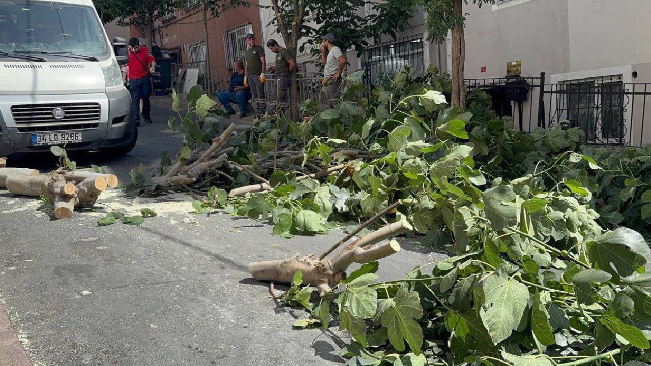 İstanbul’u Fırtına Vurdu: Ağaçlar Devrildi, 2 Kişi Yaralandı