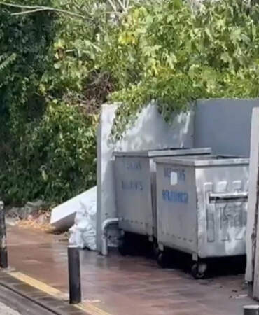 İstanbul’un Göbeğinde Vahşet! Çöpte Bebek Cesedi Bulundu