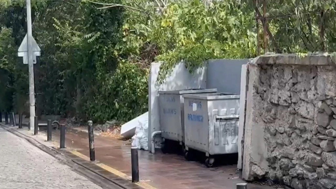 İstanbul’un Göbeğinde Vahşet! Çöpte Bebek Cesedi Bulundu