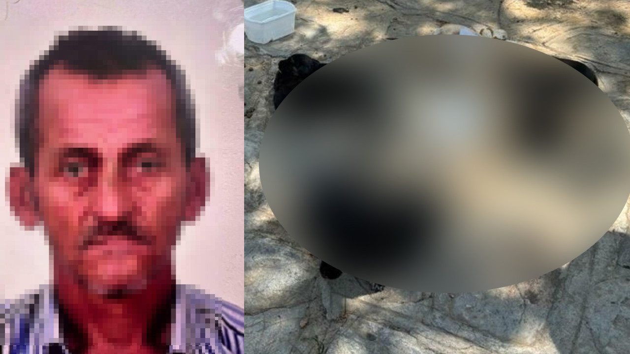 İzmir’de Korkunç Hayvan Katliamı! Zehirli Etleri Çocuklara Dağıttırmış