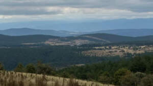Karadeniz’in Kalbine Hançer! 51 Bin Ağaç Kesilecek, Su Kaynakları ve Köyler Tehdit Altında