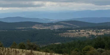 Karadeniz’in Kalbine Hançer! 51 Bin Ağaç Kesilecek, Su Kaynakları ve Köyler Tehdit Altında