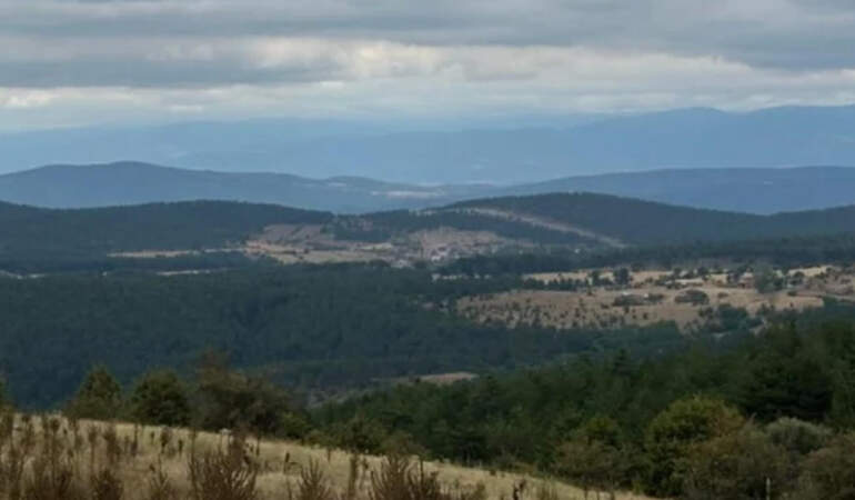 Karadeniz’in Kalbine Hançer! 51 Bin Ağaç Kesilecek, Su Kaynakları ve Köyler Tehdit Altında