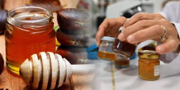 Yüzlercesi İncelendi, Uzmanlar Korkutan Sonucu Açıkladı: ‘Balın Yapısı Değişti…’