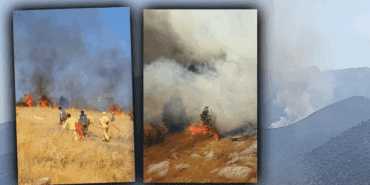 Kızıl Felaket Yine Dirildi! Muğla, Adana ve Bingöl’de Orman Yangını! Alevlere Müdahale Sürüyor