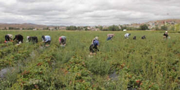 Neden Olmasın Diyerek Başladı, Bir İlke İmza Attı: Kendi İşinin Patronu Oldu, Şimdi 15 Çalışanı Var