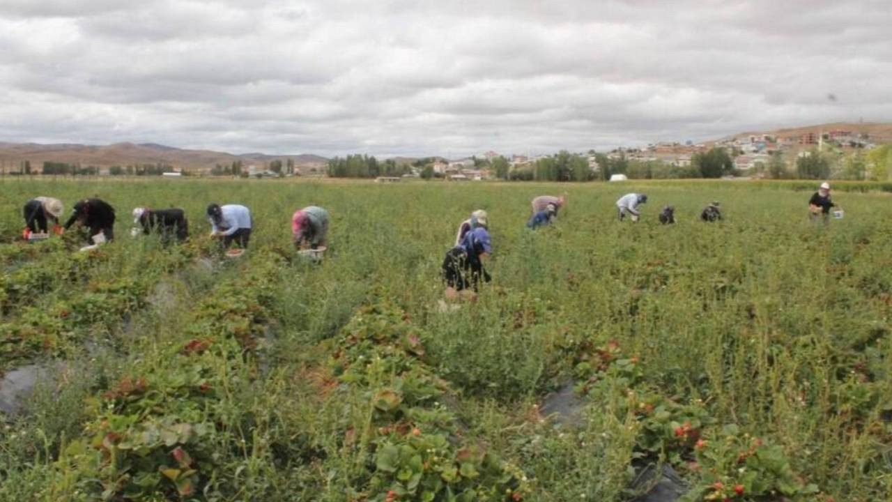 Neden Olmasın Diyerek Başladı, Bir İlke İmza Attı: Kendi İşinin Patronu Oldu, Şimdi 15 Çalışanı Var