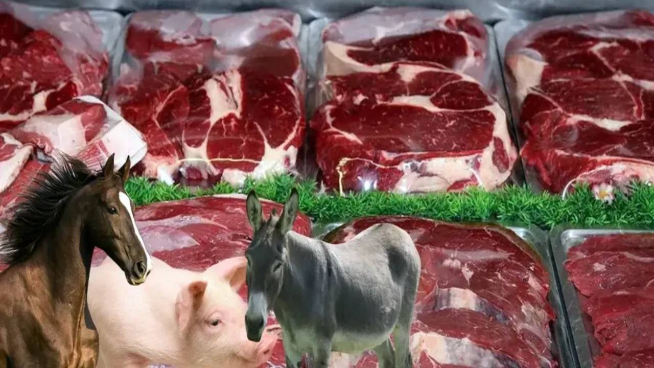 O Ürünleri Sakın Ağzınıza Sürmeyin! Tarım Bakanlığı’ndan Tüketiciye Uyarı: O Et Ürünlerinde Domuz ve Sakatat Tespit Edildi